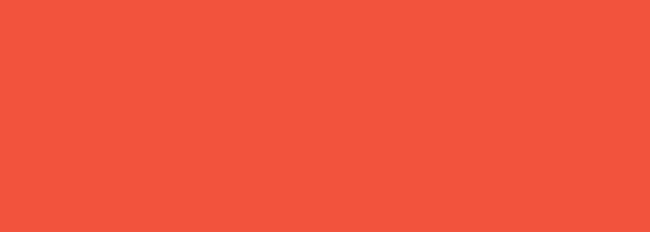 Minimalist Sale Website Banner (5)